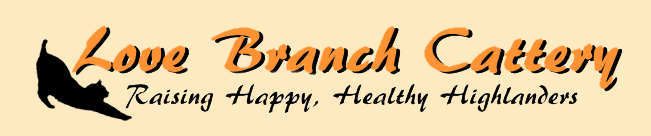 Love Branch Cattery